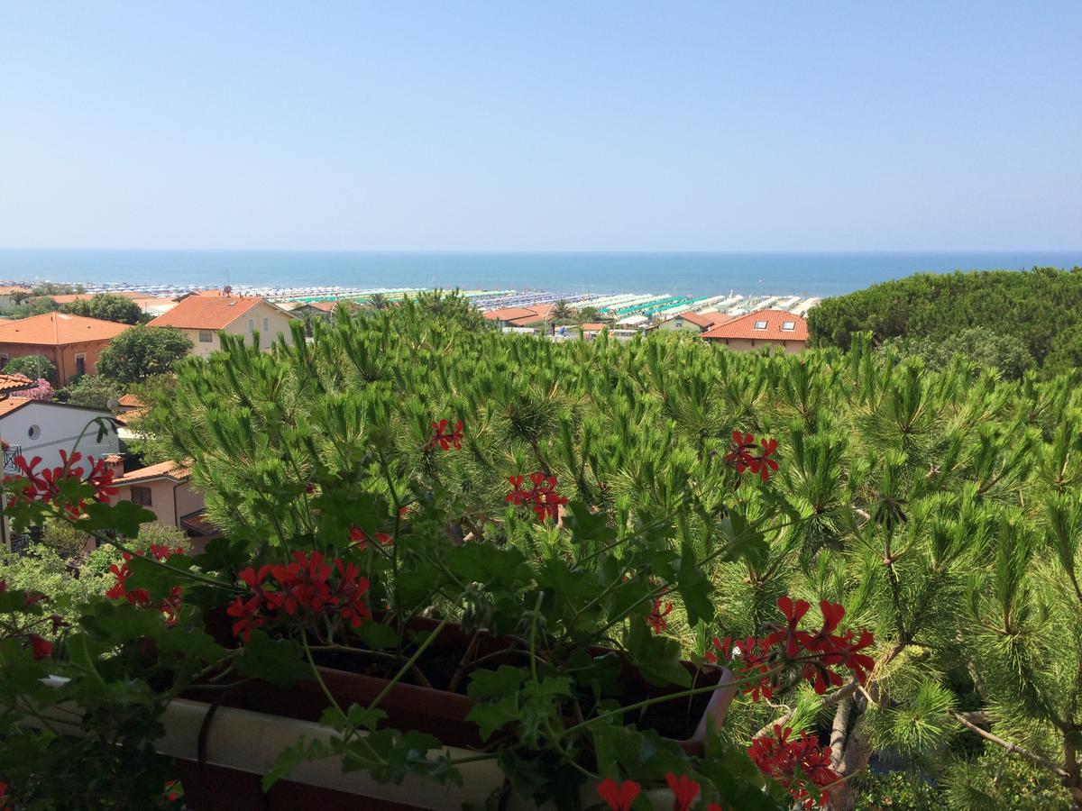Hotel Il Caravaggio Marina di Pietrasanta Exteriör bild